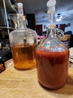 CherryBomb1_20230515_SMALL.jpg