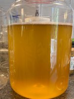 IMG_5313.jpeg