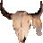 mjdtexan