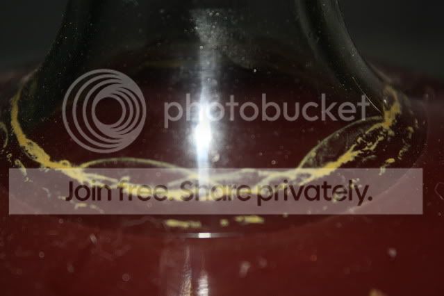 IMG_0092.jpg