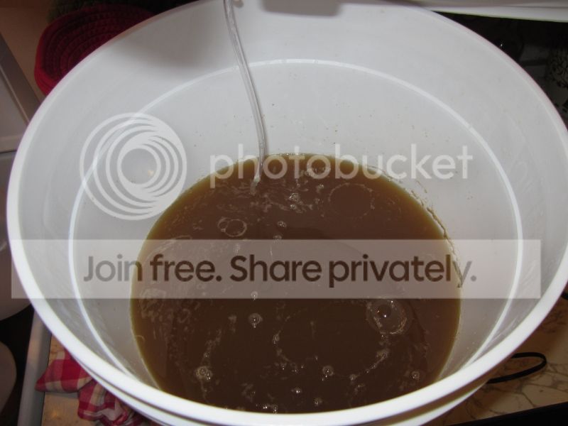 IMG_4003a.jpg