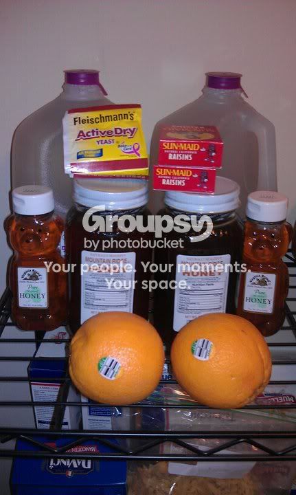 startermeadkit.jpg
