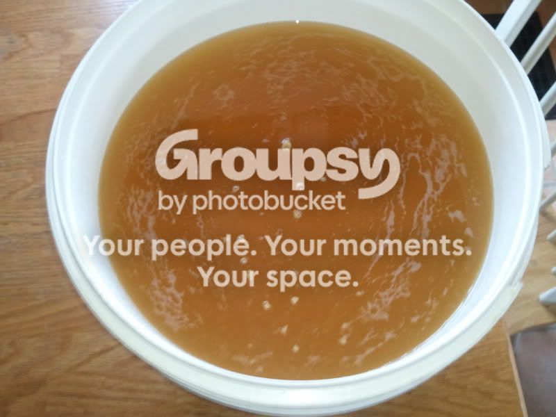 2012-02-18154017.jpg