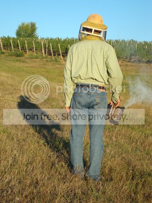 beekeeper004.jpg