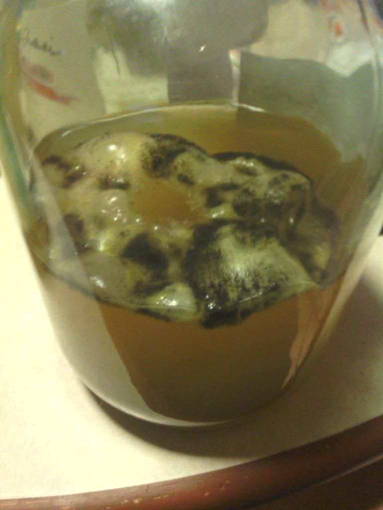 2013-09-18183849.jpg