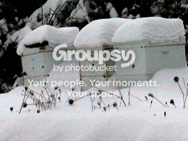PC200804.jpg
