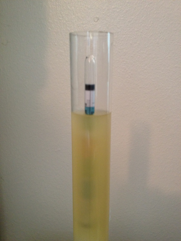 hydrometer.jpg