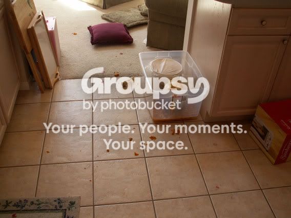 pumpsplodefloor.jpg