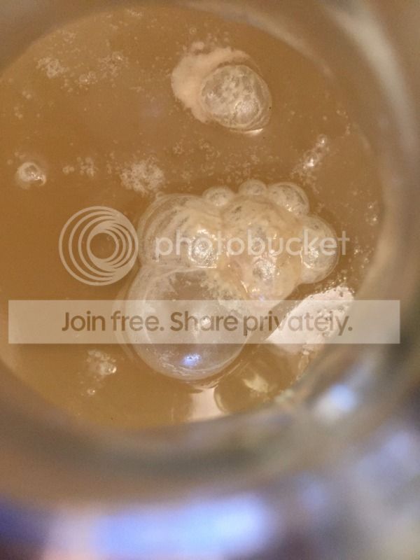 IMG_4926_zpsazy9dr5t.jpg